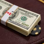 Best Blockchain Casino with Cashback in Canada A Comprehensive Guide 67-A-macro-photography-shot-looking-at-the-side-profi.jpg